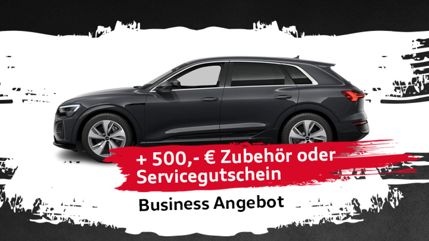 Audi Q8 e-tron I Black Week