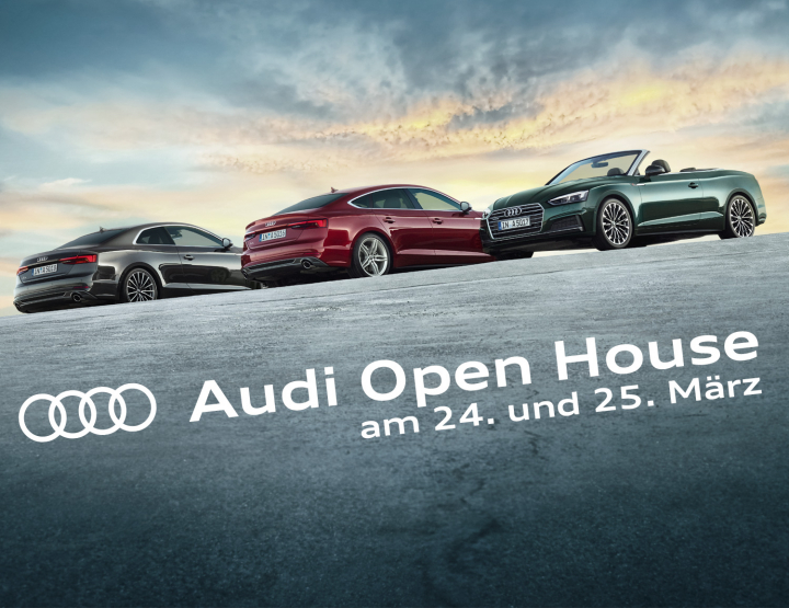 Audi Open House