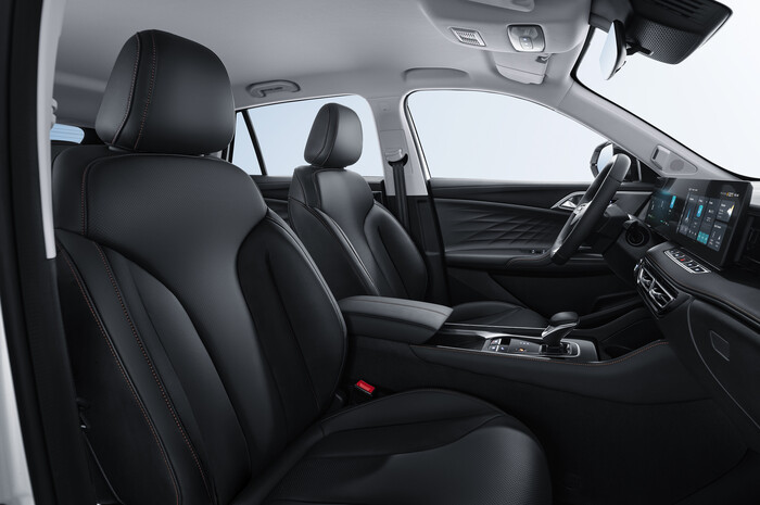 mg hs phev ledersitze