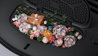 mg im6 front-trunk
