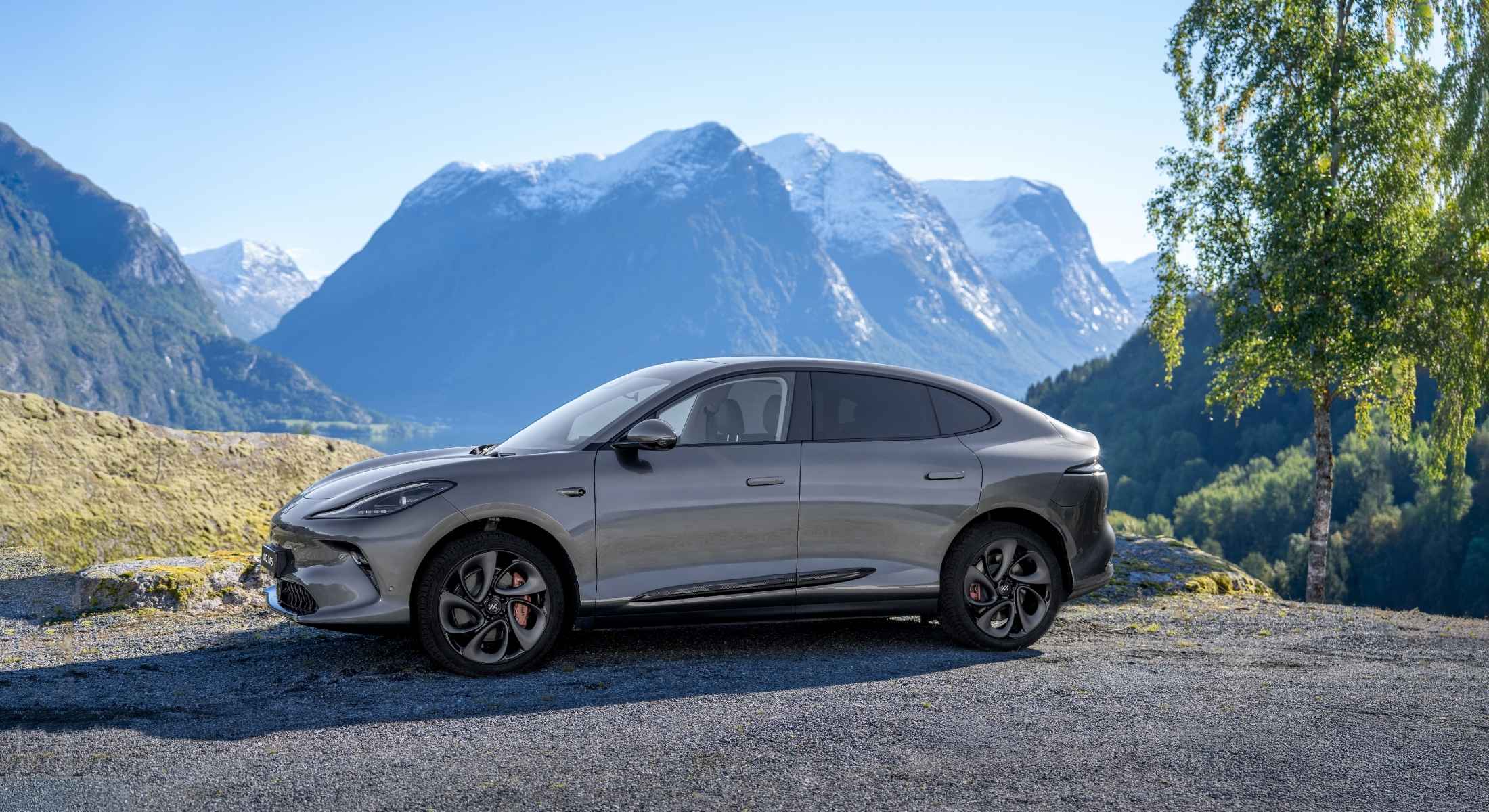 MG IM6 premium in grau