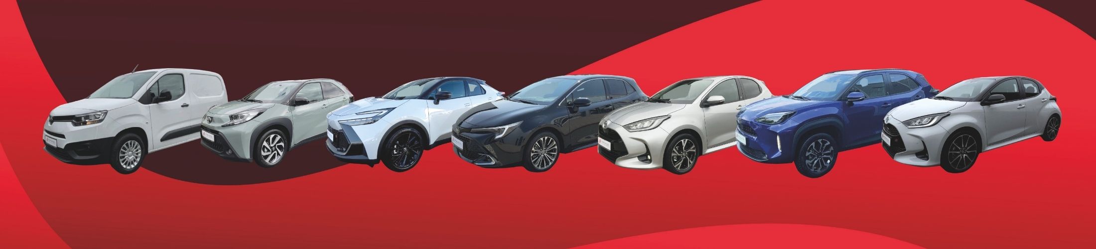 Alle Toyota Modelle nebeneinander